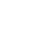 Pricing Icon